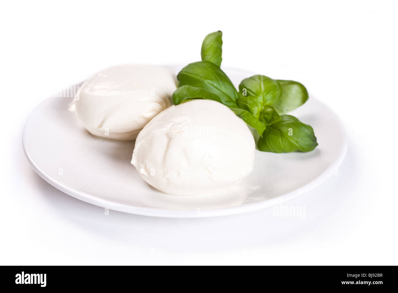 Deux pièces de fromage mozzarella sur une plaque . Arrière-plan blanc. L'accent peu profondes. Banque D'Images