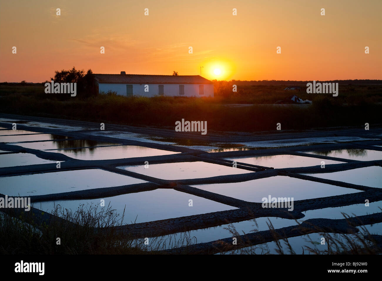 Coucher du soleil SUR LE CHAMP D'un marais salé, ILE DE RE Banque D'Images