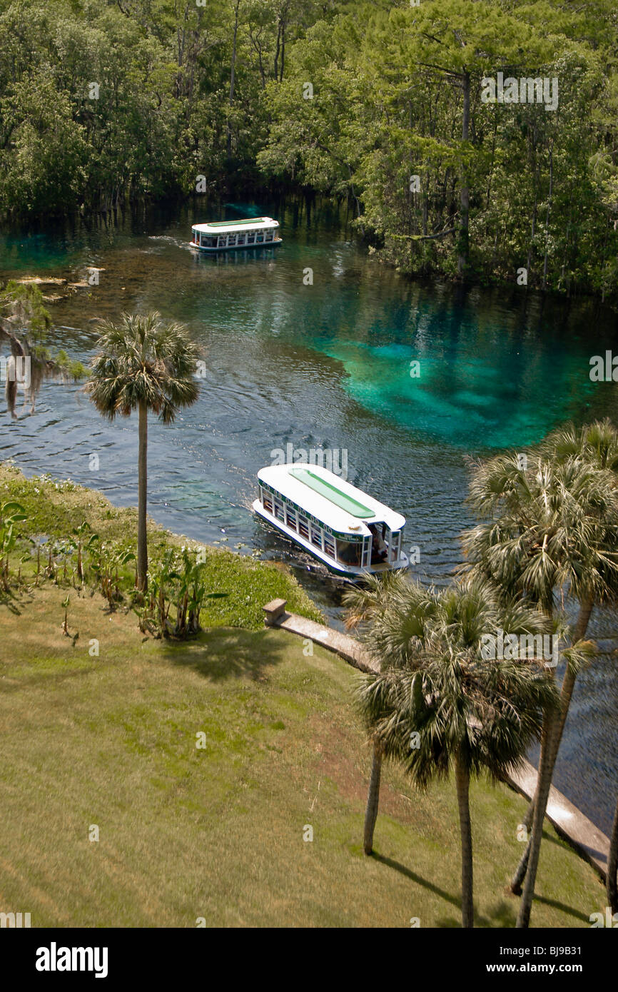 Des excursions en bateau à fond de verre de la rivière d'argent et Silver Springs à Silver Springs State Park près de Ocala, Floride Banque D'Images