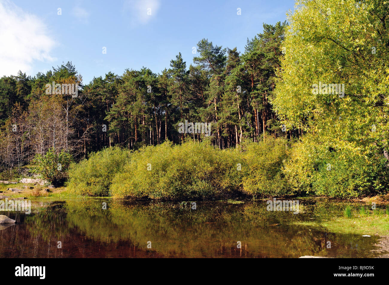 Paysage d'été avec rivière et ciel bleu Banque D'Images