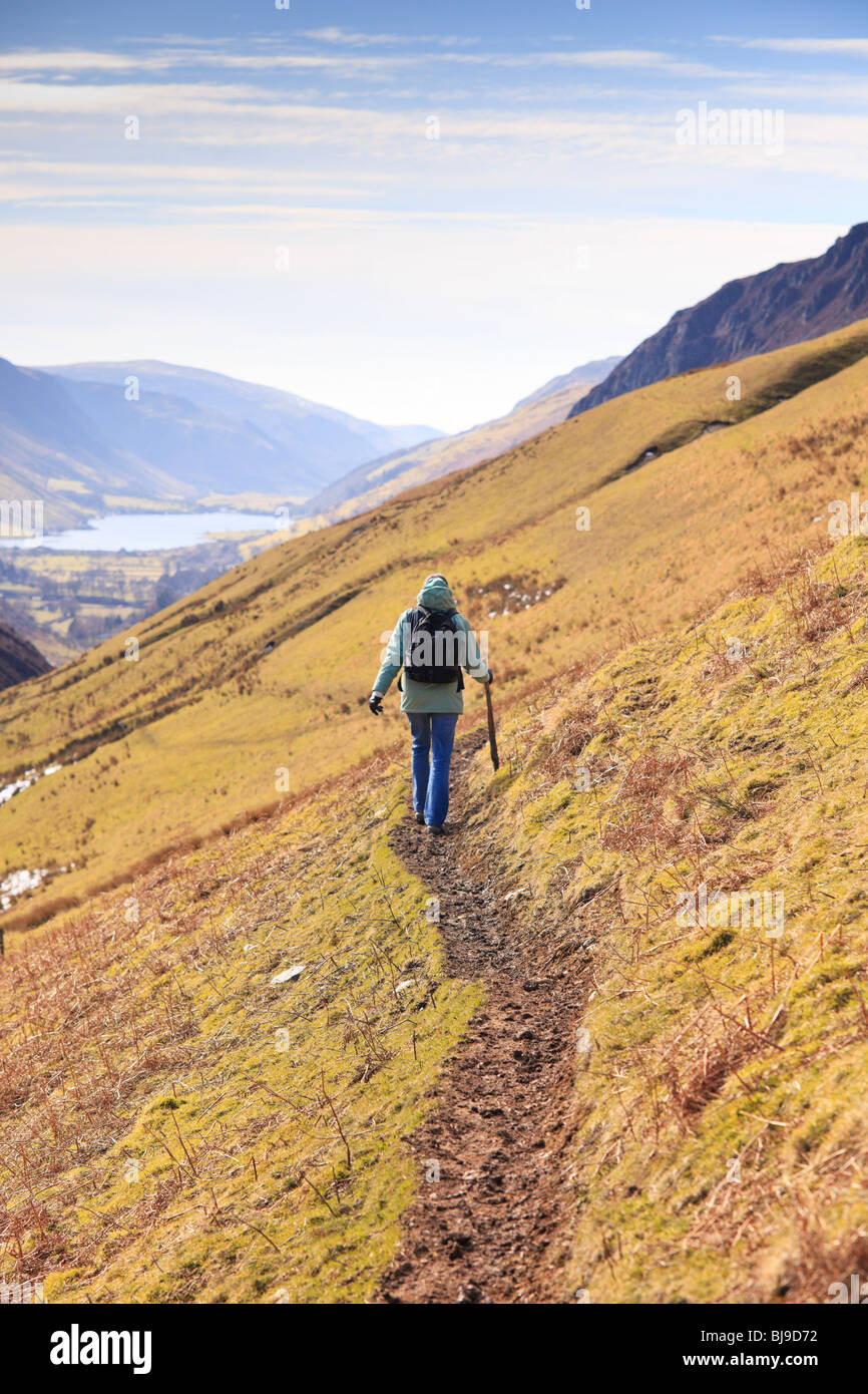 Une femme marcheuse traverse les pentes inférieures de Cadir Idris vers Tal-y-llyn, pays de Galles Banque D'Images