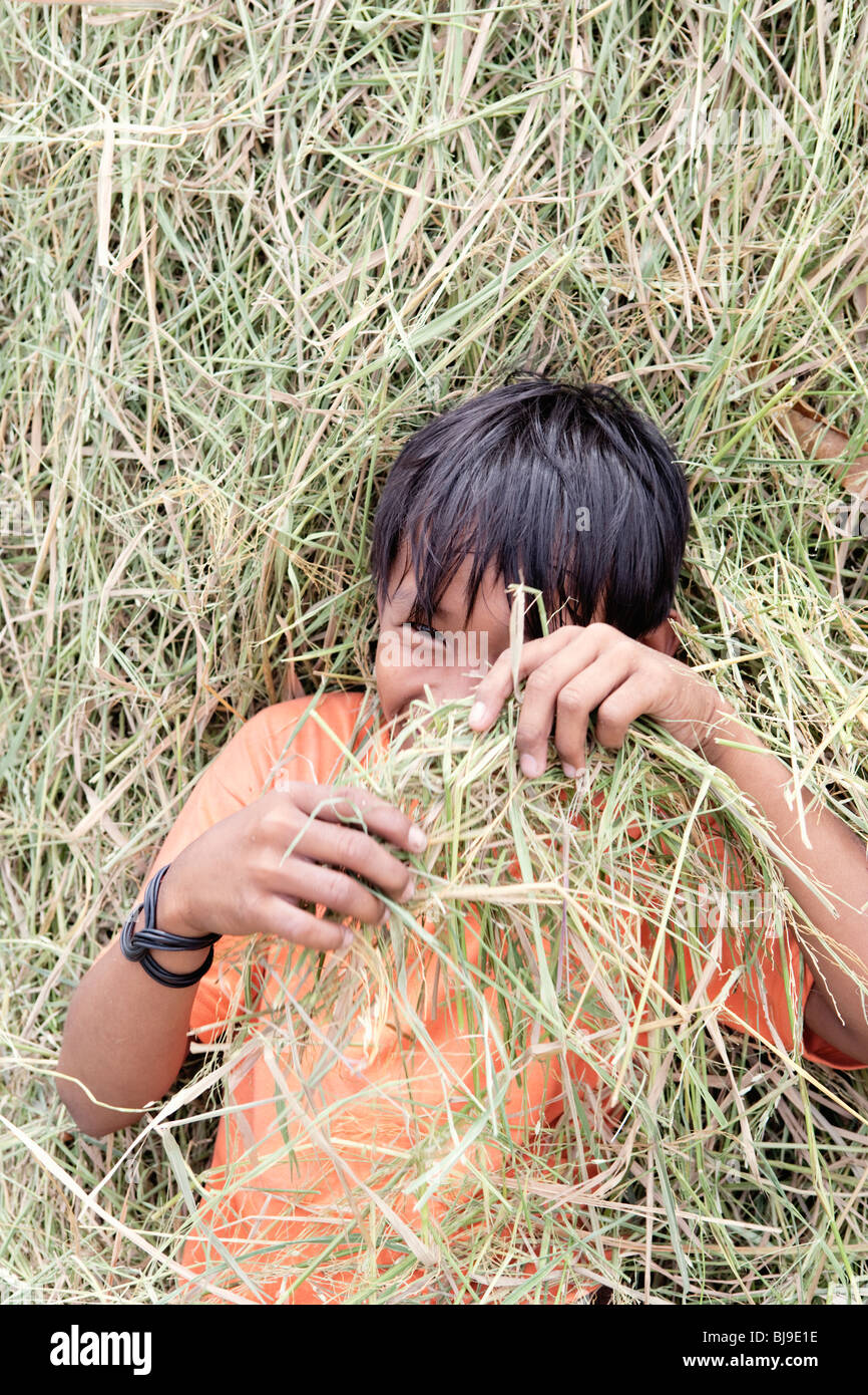 Jeune garçon souriant et se cacher dans le foin de la cheminée au cours de la récolte de riz ; Batangas ; le sud de Luzon, Philippines Banque D'Images