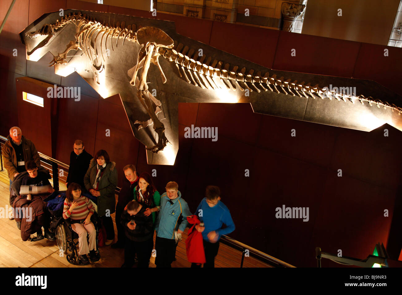 Le Natural History Museum, Londres. Les visiteurs dans la galerie des dinosaures. Banque D'Images