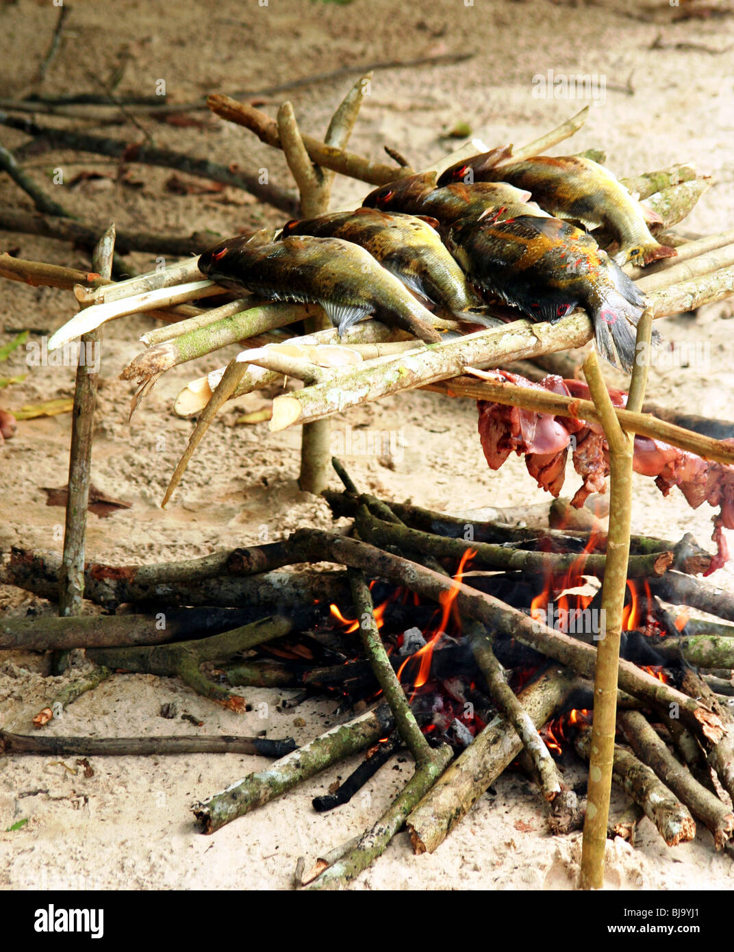 Les poissons de la rivière amazonienne et blanc-lipped pécari foie être cuit sur une petite rivière beach fire Banque D'Images