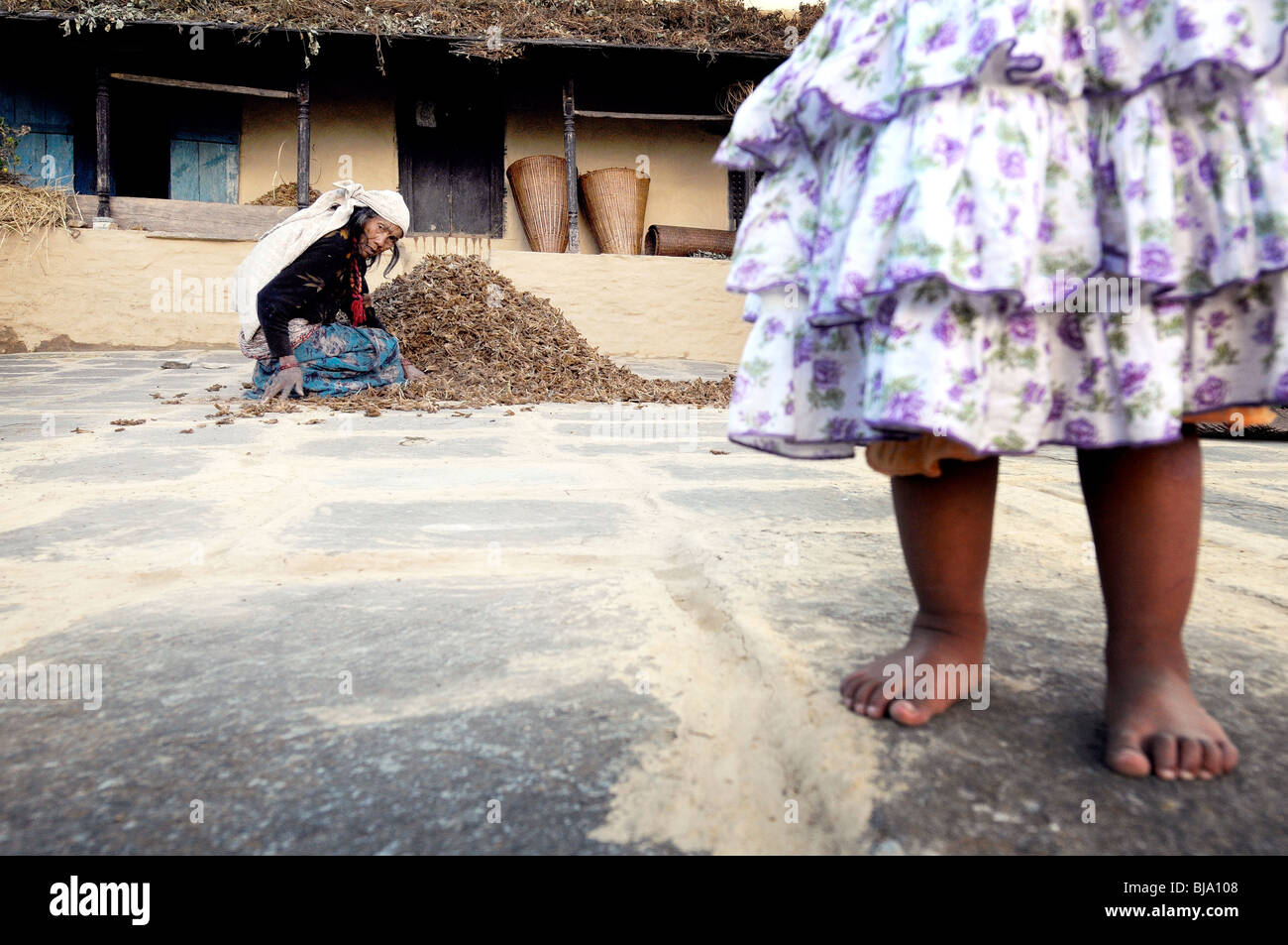 Les travaux agricoles à Ghandruk, Népal Banque D'Images