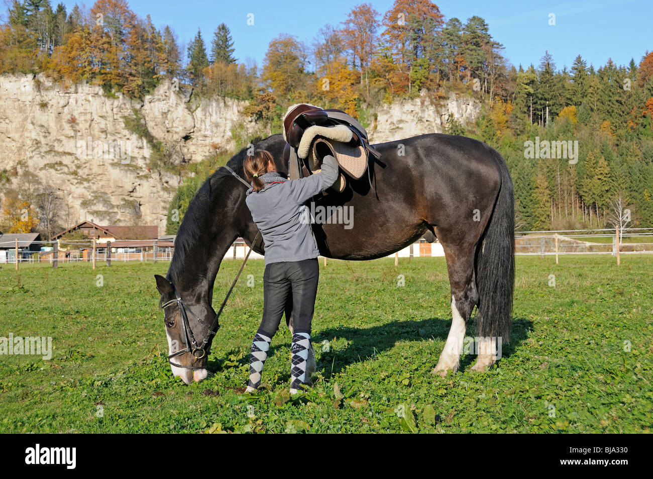 Girl est un cheval selle style anglais, Banque D'Images