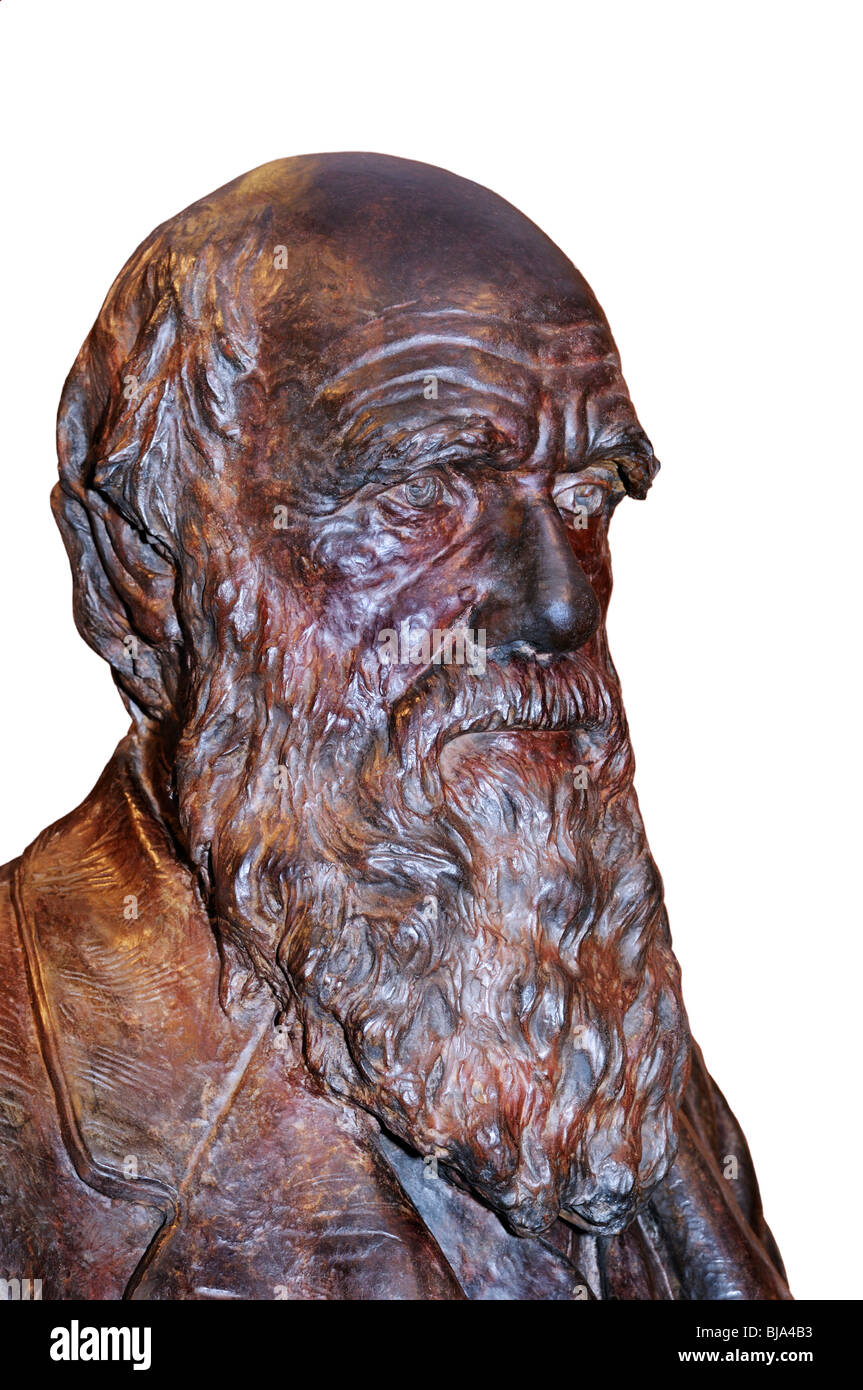 Charles Darwin, buste, Académie des Sciences de New York Banque D'Images