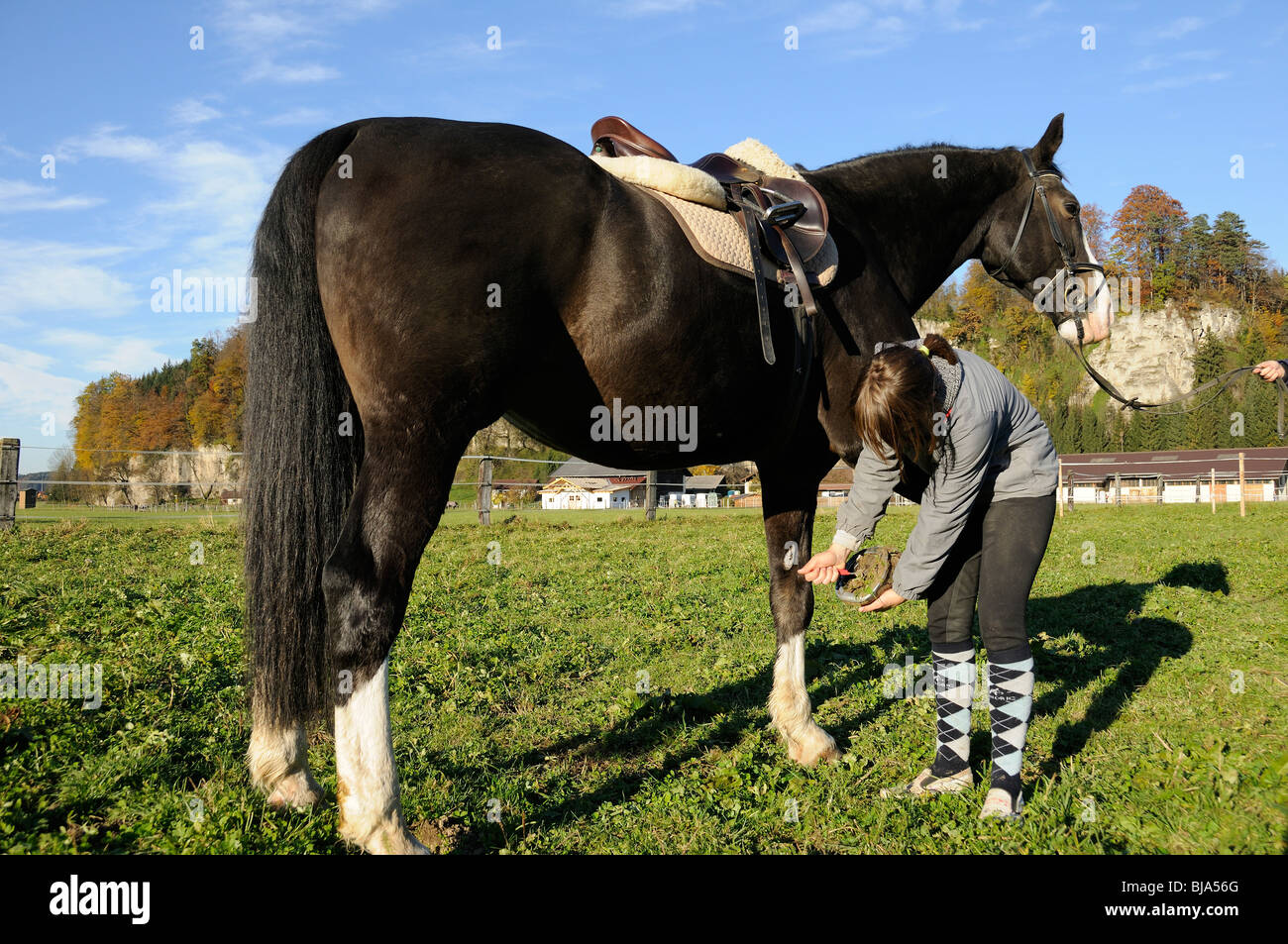 Le raclage de fille de sabot d'un cheval avec un sabot pick Banque D'Images