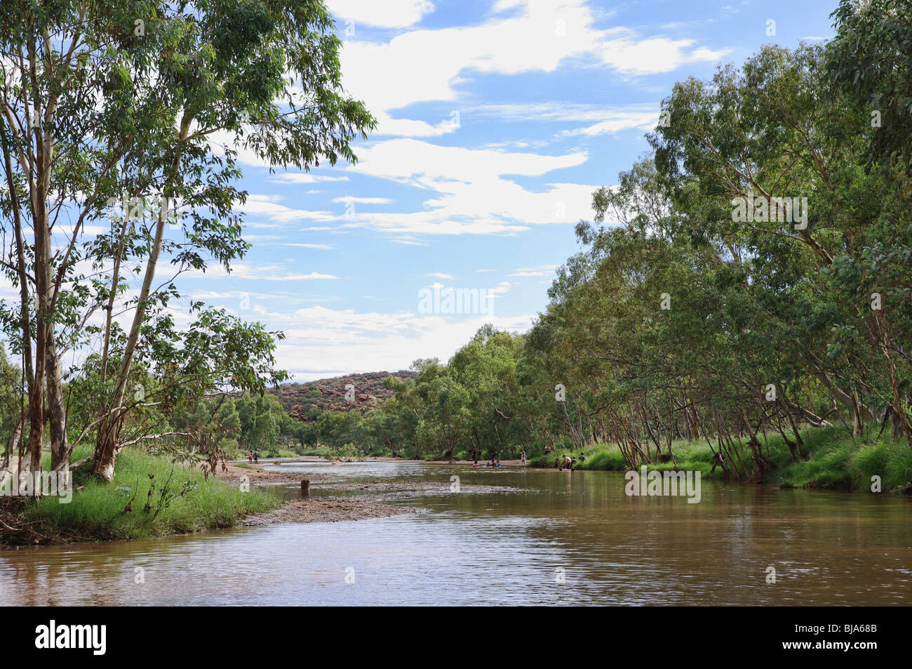 La natation dans la rivière Todd à Alice Springs Banque D'Images