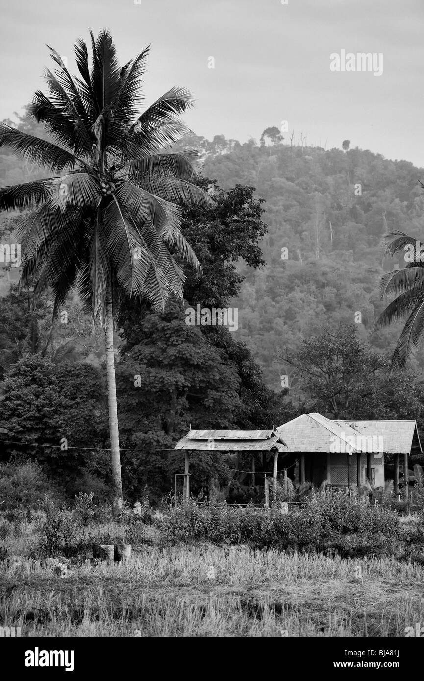 République démocratique populaire du Laos, Laos Banque D'Images