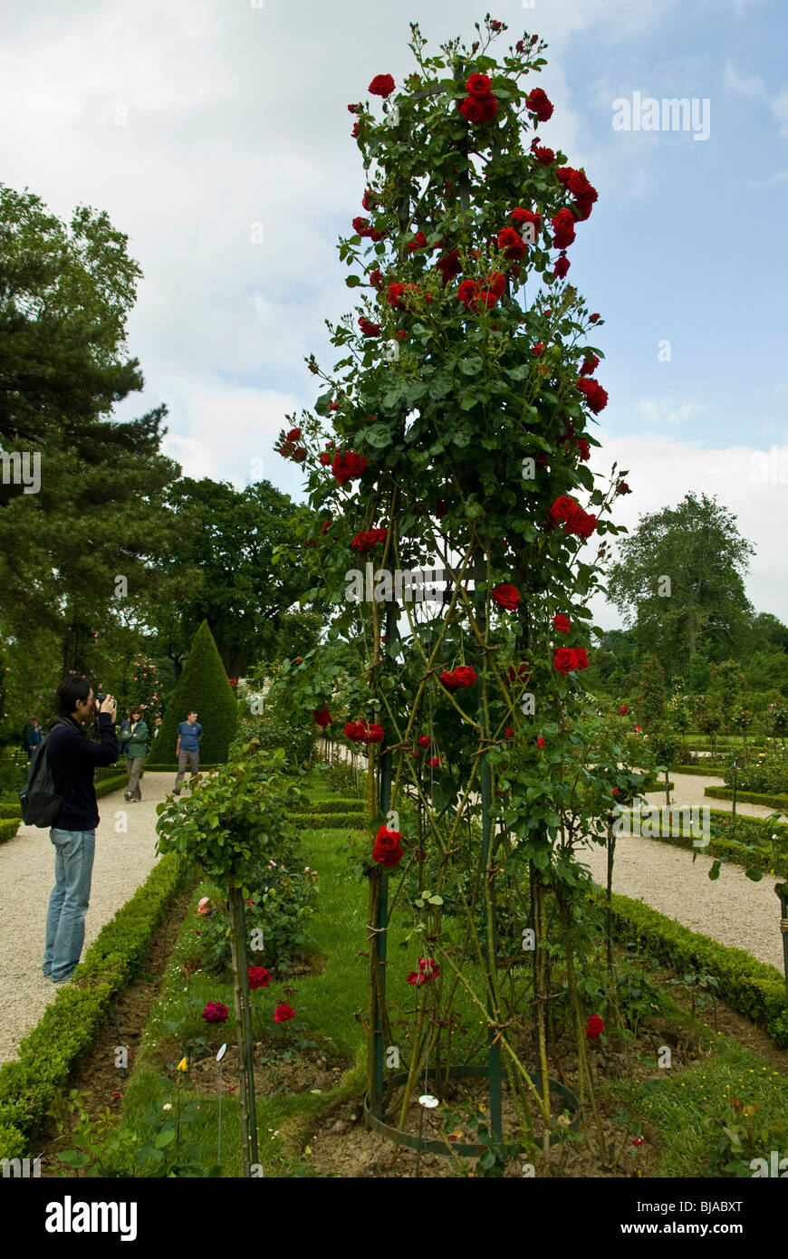Paris, France, les parcs publics, les gens se rendant sur Bagatelle Roseraie en Boulogne Banque D'Images