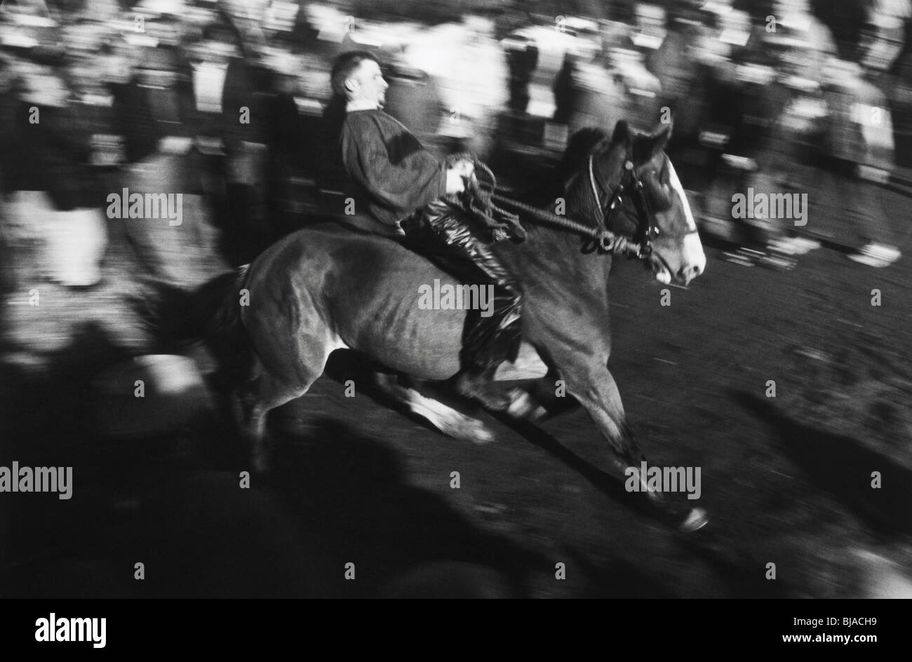 Foire du cheval Irlande Ballinasloe Banque D'Images