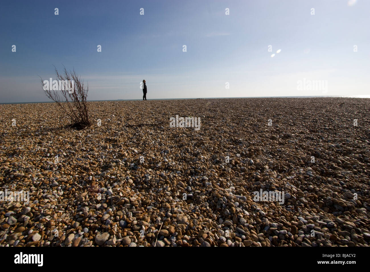 Personne debout en arrière-plan sur la plage vide Dungeness, Kent, Royaume-Uni avec plante dans le sable Banque D'Images