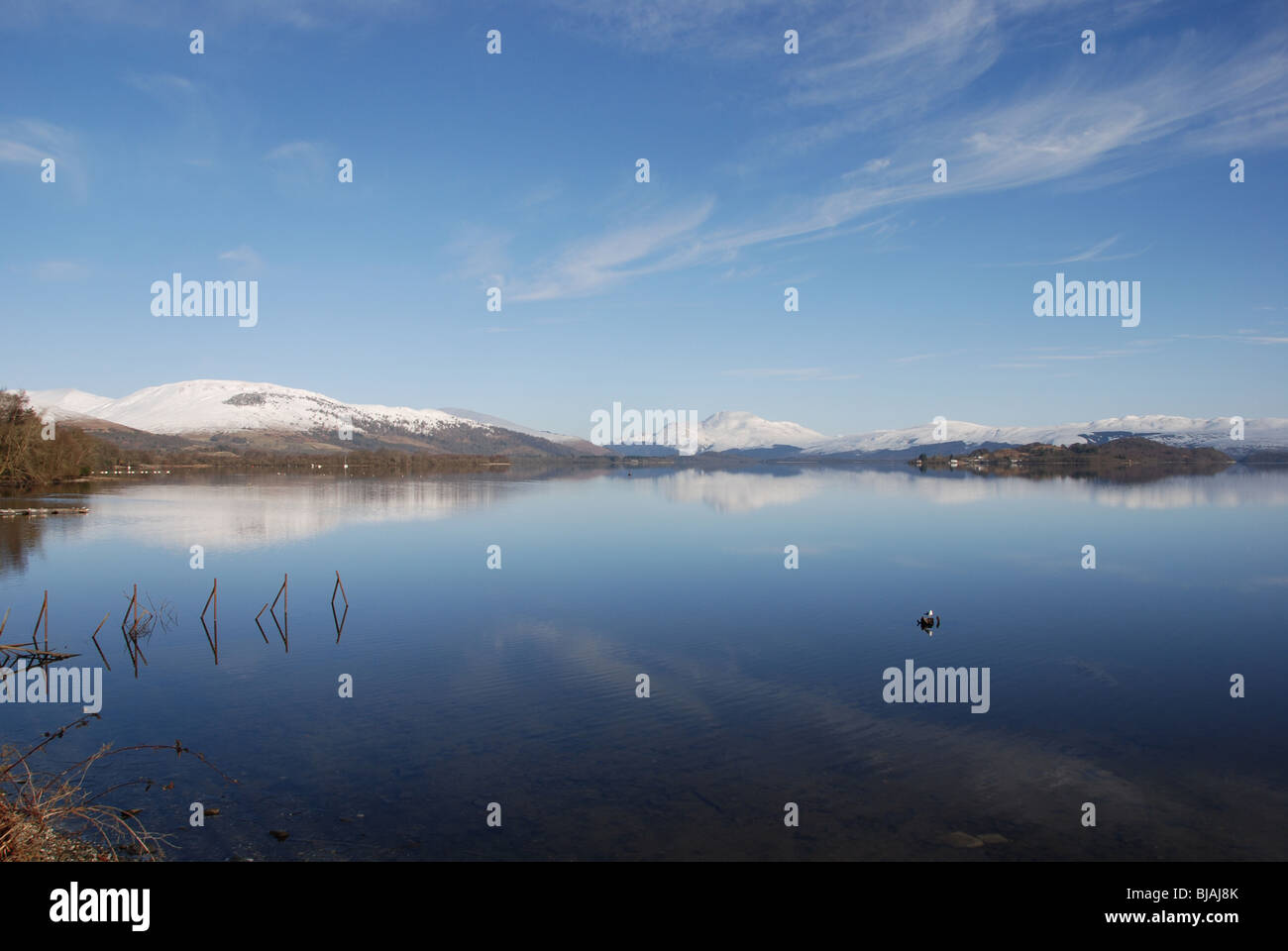 Réflexions de collines couvertes de neige et la neige Ben Lomond Mountain avec le Loch Lomond Dumbatonshire Ecosse Royaume-Uni UK Banque D'Images