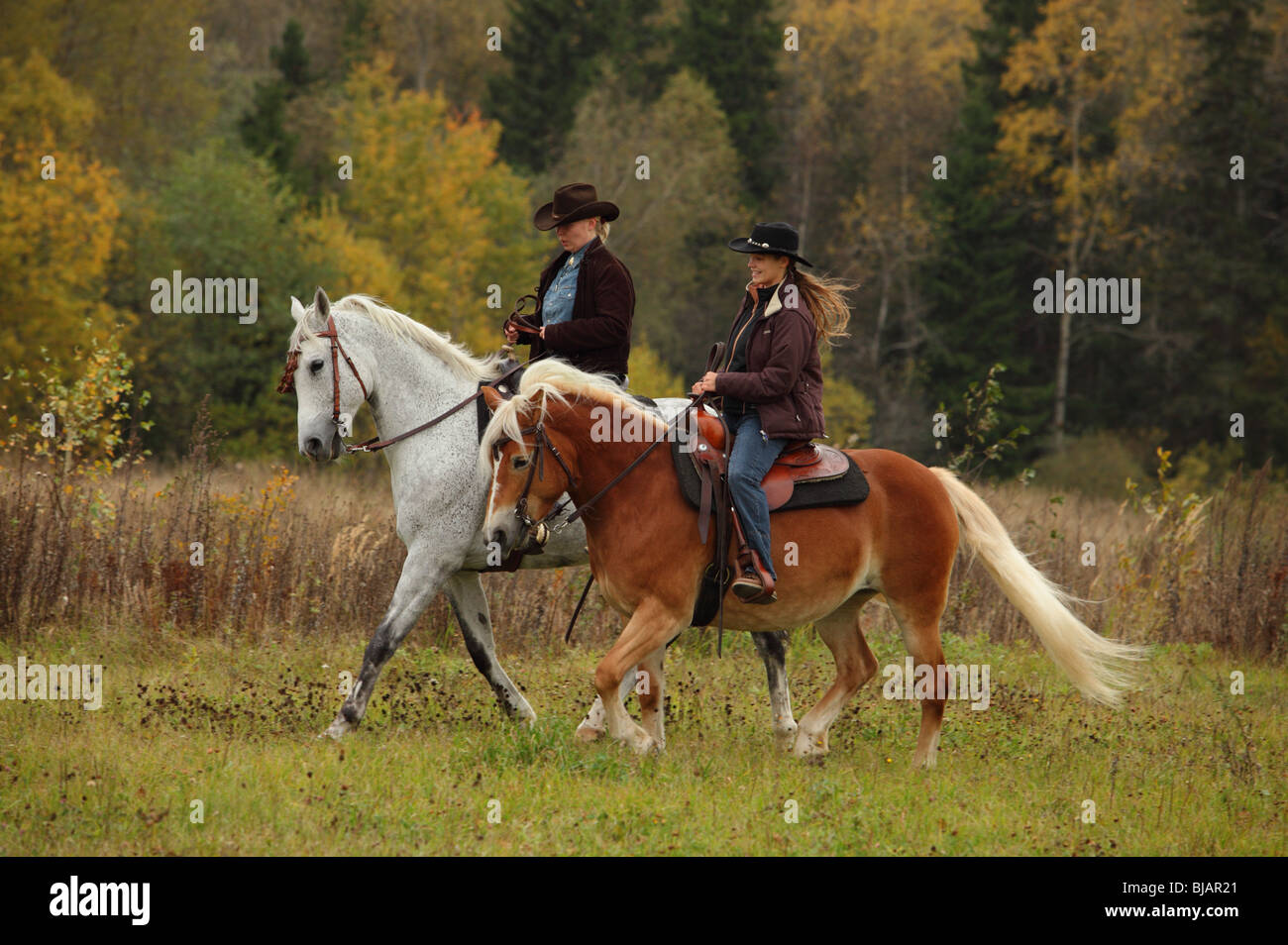 Deux femmes vêtues de vêtements et les chapeaux de cowboy de l'équitation western à cheval dans un ranch Banque D'Images