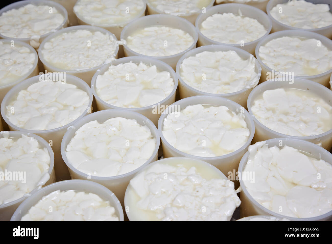 Fromage doux mis en moule au cours du processus de fabrication du fromage Banque D'Images