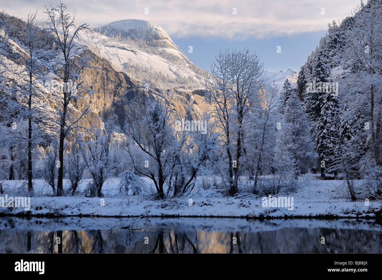 Les arbres couverts de neige le long de la rivière Merced avec north dome à morning sun yosemite national park california usa Banque D'Images