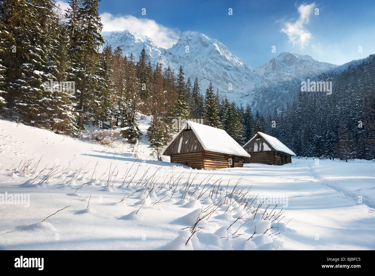 Hiver neige paysage de montagne avec ciel bleu, Tatras, Pologne Banque D'Images