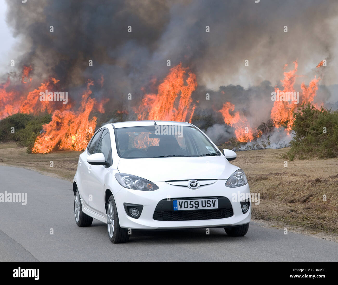 2010 Mazda 2 Sport 1.5 par brûlage contrôlé heath à New Forest Banque D'Images