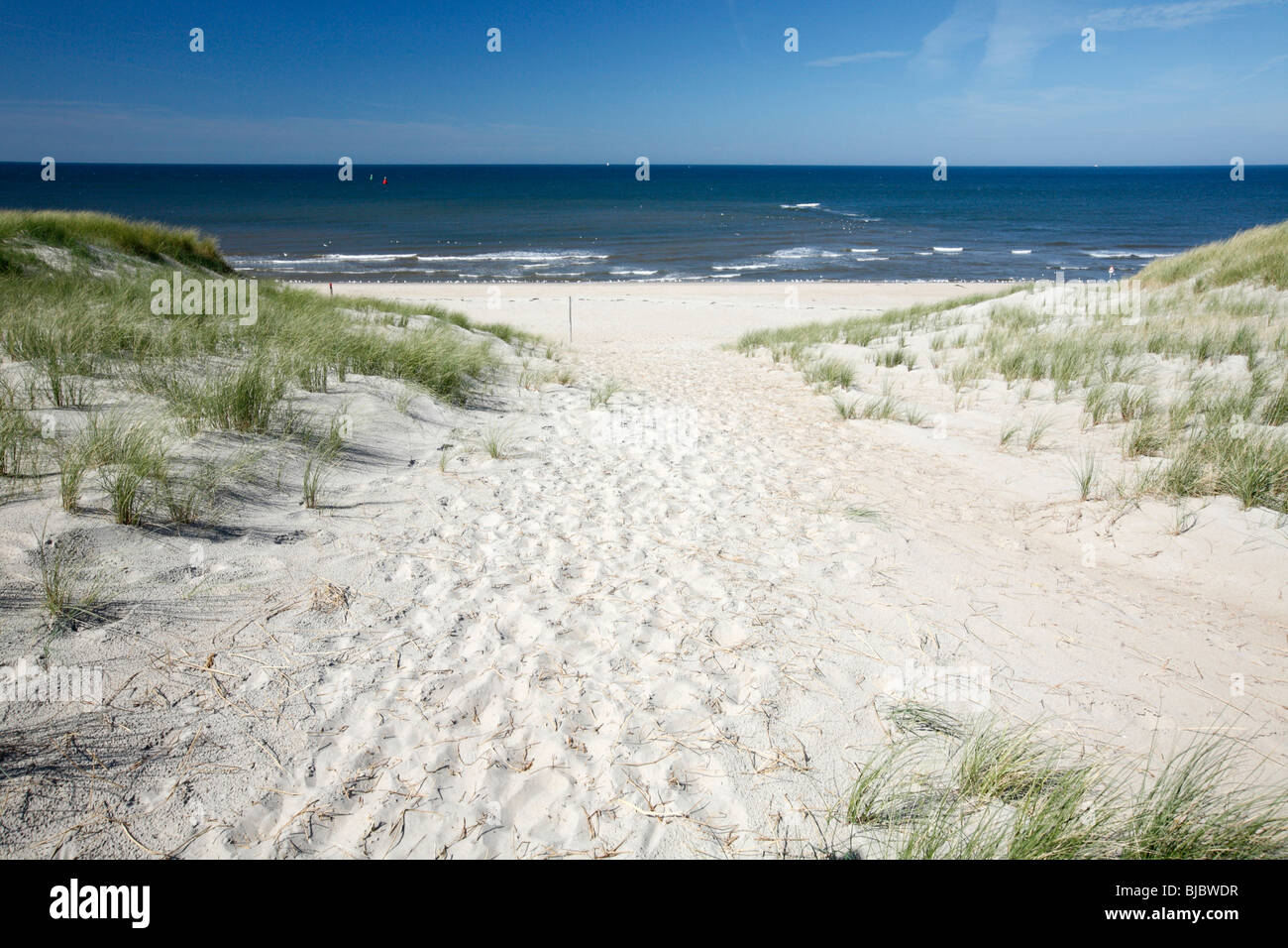 Mer du Nord, de la plage et des dunes de sable, l'île de Texel, Hollande Banque D'Images