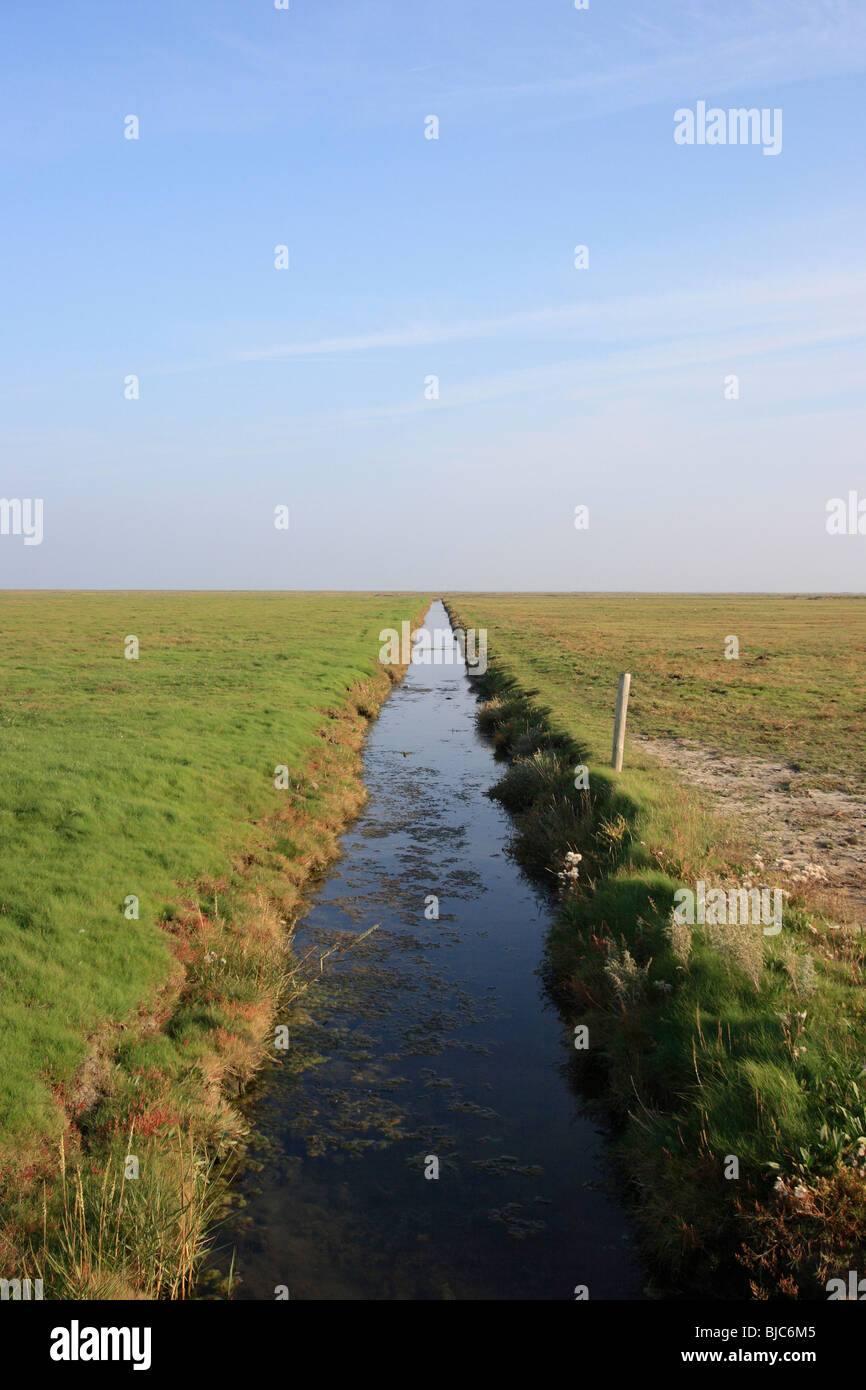 Hallig Hooge, Canal en Allemagne Banque D'Images