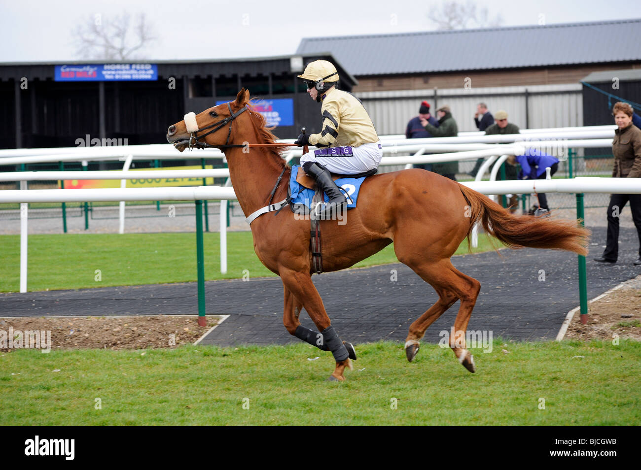 Horse and Jockey laissant paddock Sedgefield UK Banque D'Images