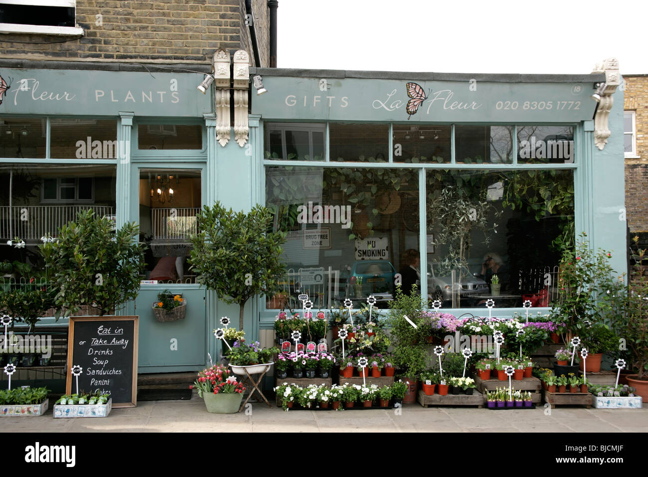 La Fleur plante boutique et café sur la Colline royale à Greenwich, London, UK Banque D'Images