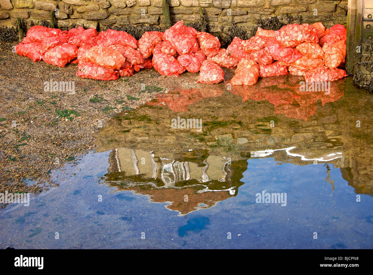 Hampshire Lymington UK Harbour Harbour Banque D'Images