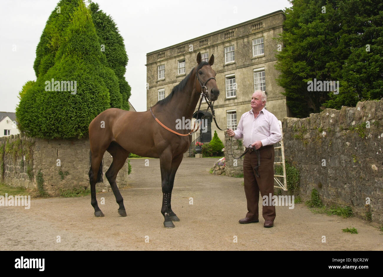 Décoré de Milton Bradley avec l'un de ses chevaux de course brièveté à Mead's Farm Sedbury Park près de Chepstow Banque D'Images