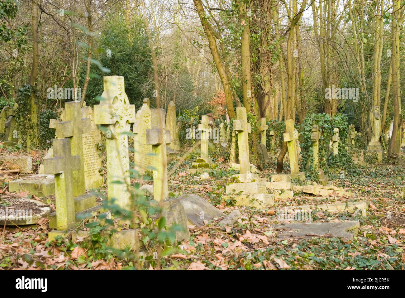 Le Cimetière de Highgate , , Londres , pierres tombales aléatoire et tombes en mauvais état Banque D'Images