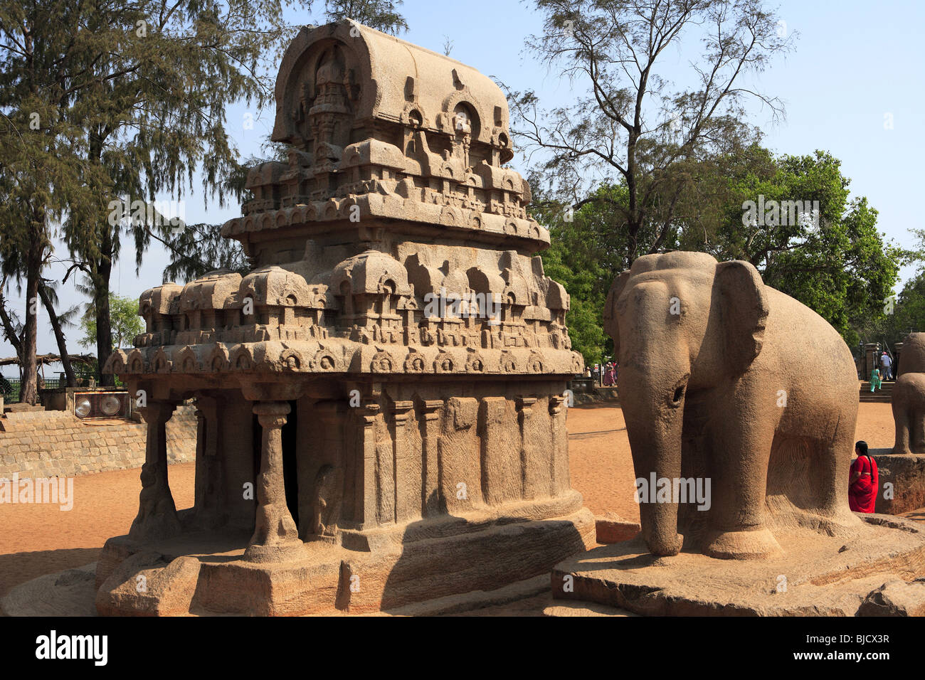 Nakul Sahadeva Ratha et statues d'éléphants et Pancha Rathas, Mahabalipuram Chengalpattu District ; ; ; Tamil Nadu Inde Banque D'Images