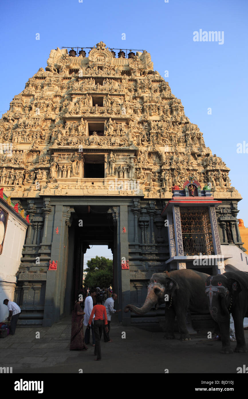 Kanchi kamakoti peetam Temple Sri kamakshi ambal Kanchipuram district ; état ; Inde ; Tamilnadu Banque D'Images
