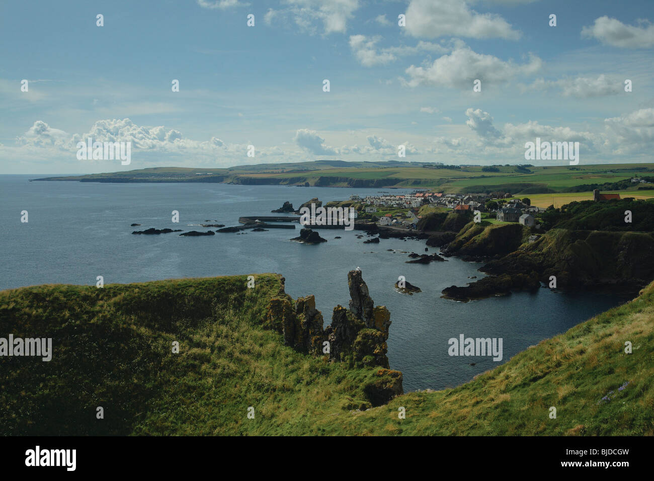 St Abbs et le Berwickshire côte à partir de St Abbs Head Nature Réserver Scottish Borders Banque D'Images