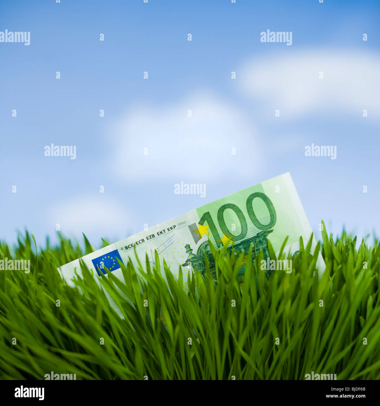 100 Euro note dans l'herbe. Banque D'Images