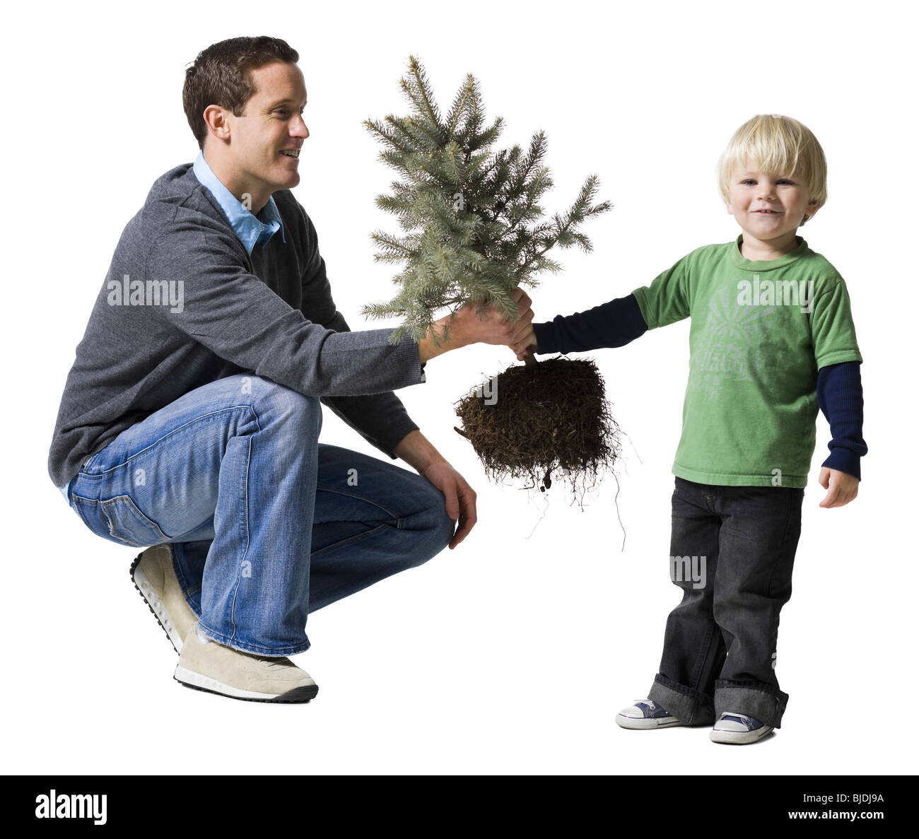 Père et fils, planter un arbre Banque D'Images