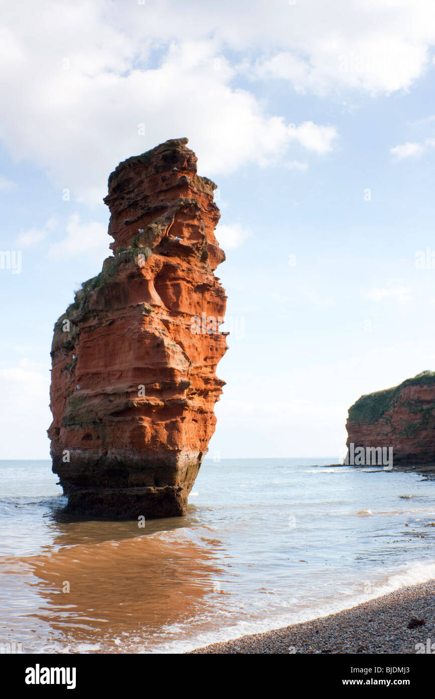 Ladram Bay Sea stacks à Devon, Angleterre, Royaume-Uni Banque D'Images Ladram Bay Sea stacks à Devon, Angleterre, Royaume-Uni Banque D'Images