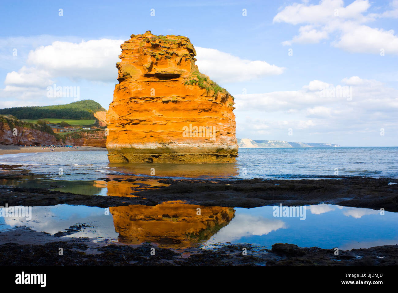 Ladram Bay Sea stacks à Devon, Angleterre, Royaume-Uni Banque D'Images Ladram Bay Sea stacks à Devon, Angleterre, Royaume-Uni Banque D'Images