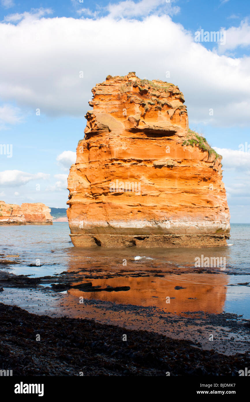 Ladram Bay Sea stacks à Devon, Angleterre, Royaume-Uni Banque D'Images Ladram Bay Sea stacks à Devon, Angleterre, Royaume-Uni Banque D'Images