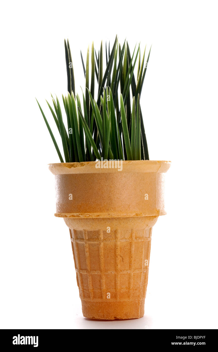 L'herbe dans un cornet de crème glacée Banque D'Images