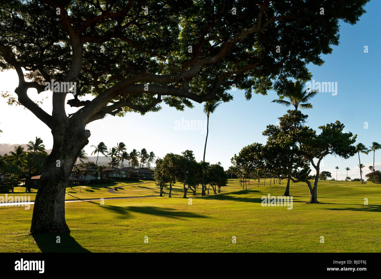 Le Royal Kaanapali golf course avec le Maui Eldorado resort dans l'arrière-plan. Banque D'Images