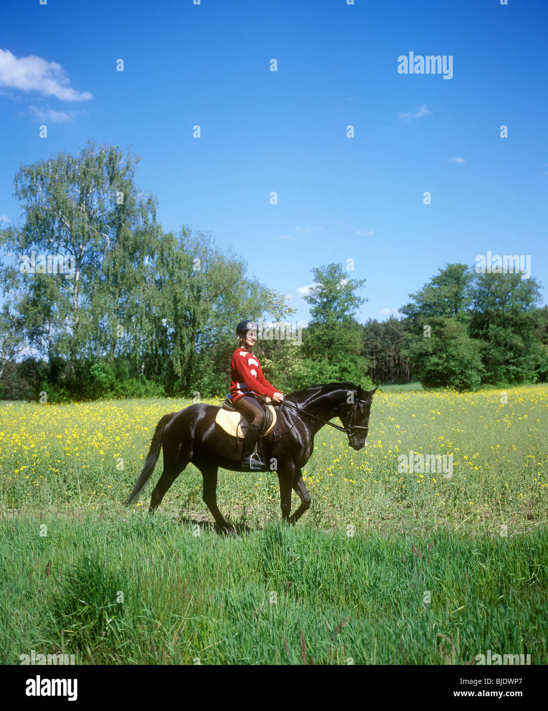 Teenage boy riding un étalon noir Banque D'Images