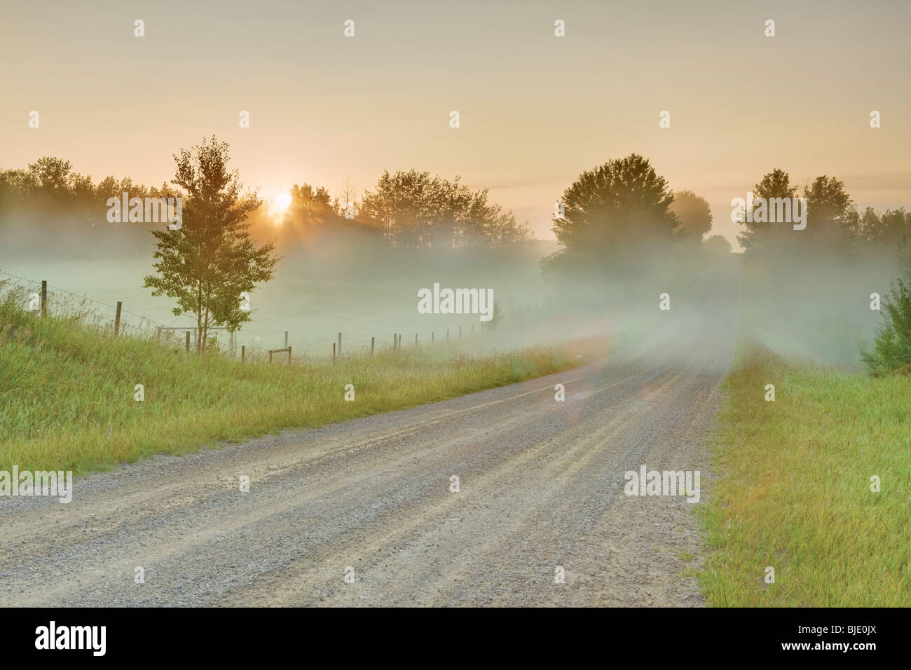 Backroad rural dans le brouillard au lever du soleil, près de Stony Plain, Alberta, Canada Banque D'Images