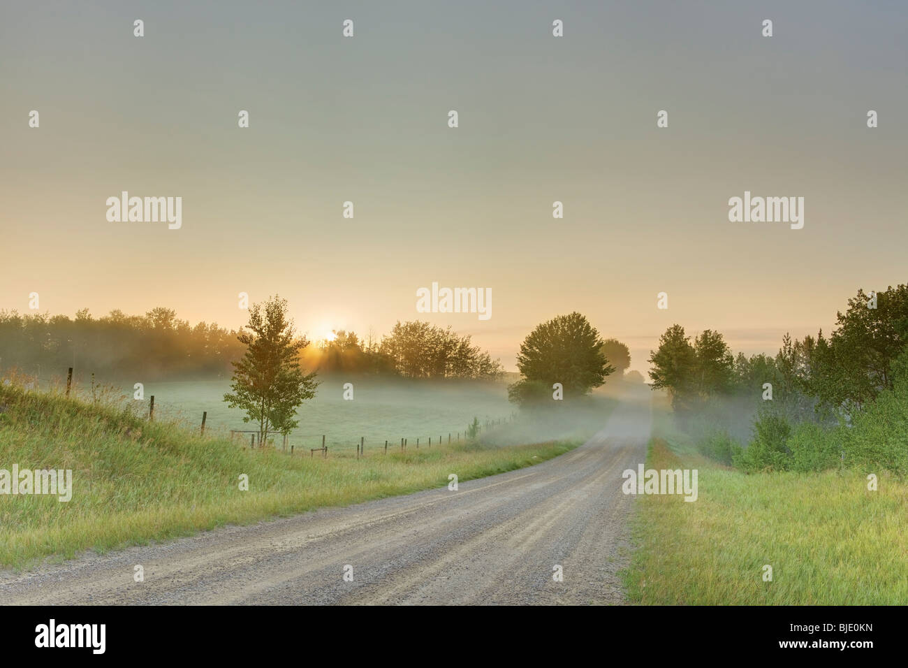 Backroad Rural exécute dans le brouillard lointain au lever du soleil, près de Stony Plain, Alberta, Canada Banque D'Images