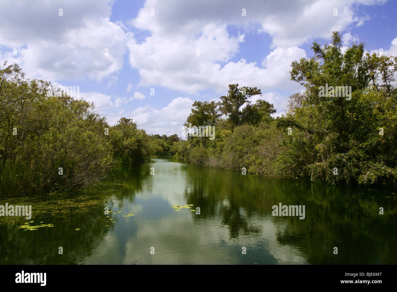 Rivière de la mangrove des Everglades en Floride vue paysage Banque D'Images