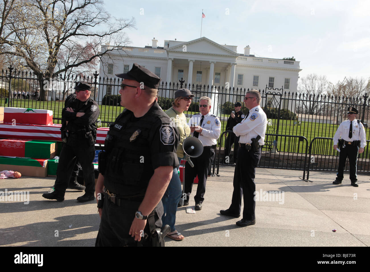 La guerre anti Cindy Sheehan manifestant arrêté par la police près de Maison Blanche. Manifestation anti-guerre. Marche sur Washington. 20 mars, 2010 Banque D'Images