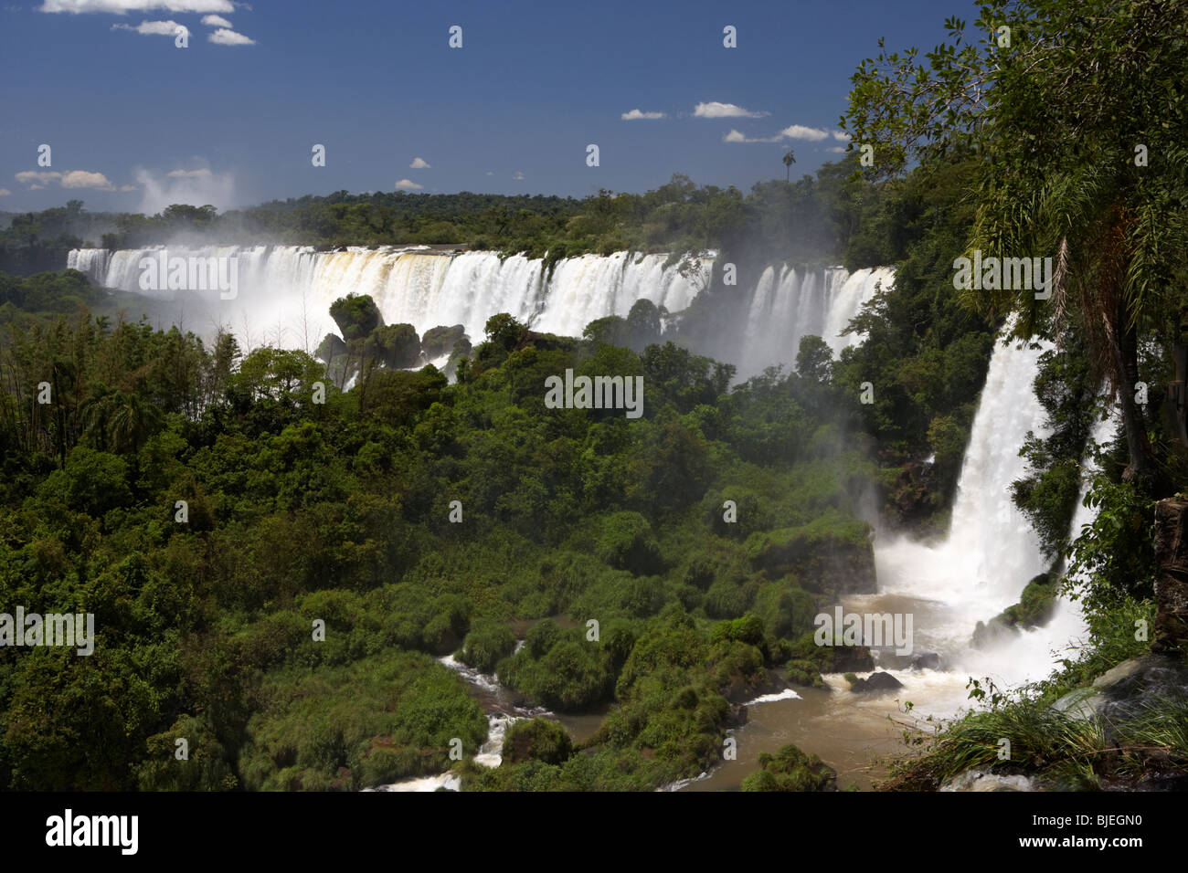 Parc national de l'Iguazu, Argentine, Amérique du Sud Banque D'Images
