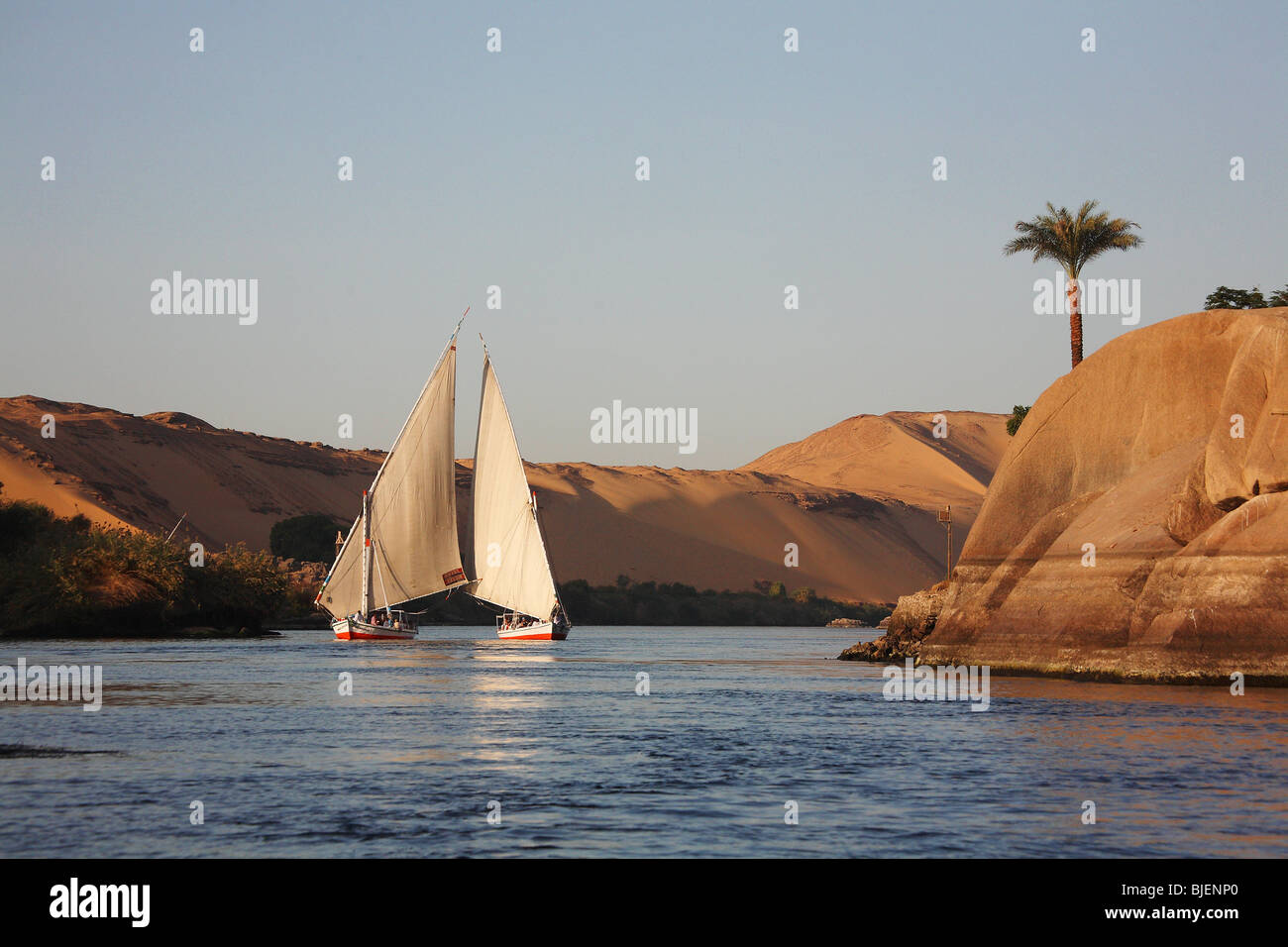 Deux felouques sur le Nil, Assouan, Egypte Banque D'Images