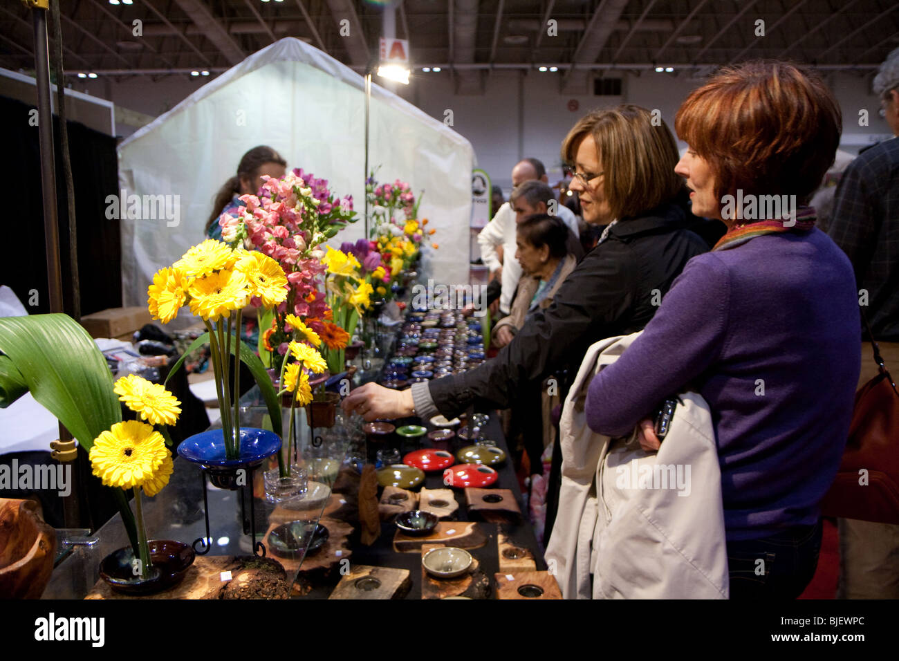 Les consommateurs à la recherche à la fleur gerbera jaune et pot sur la table à la vente par un exposant au salon du jardinage Banque D'Images