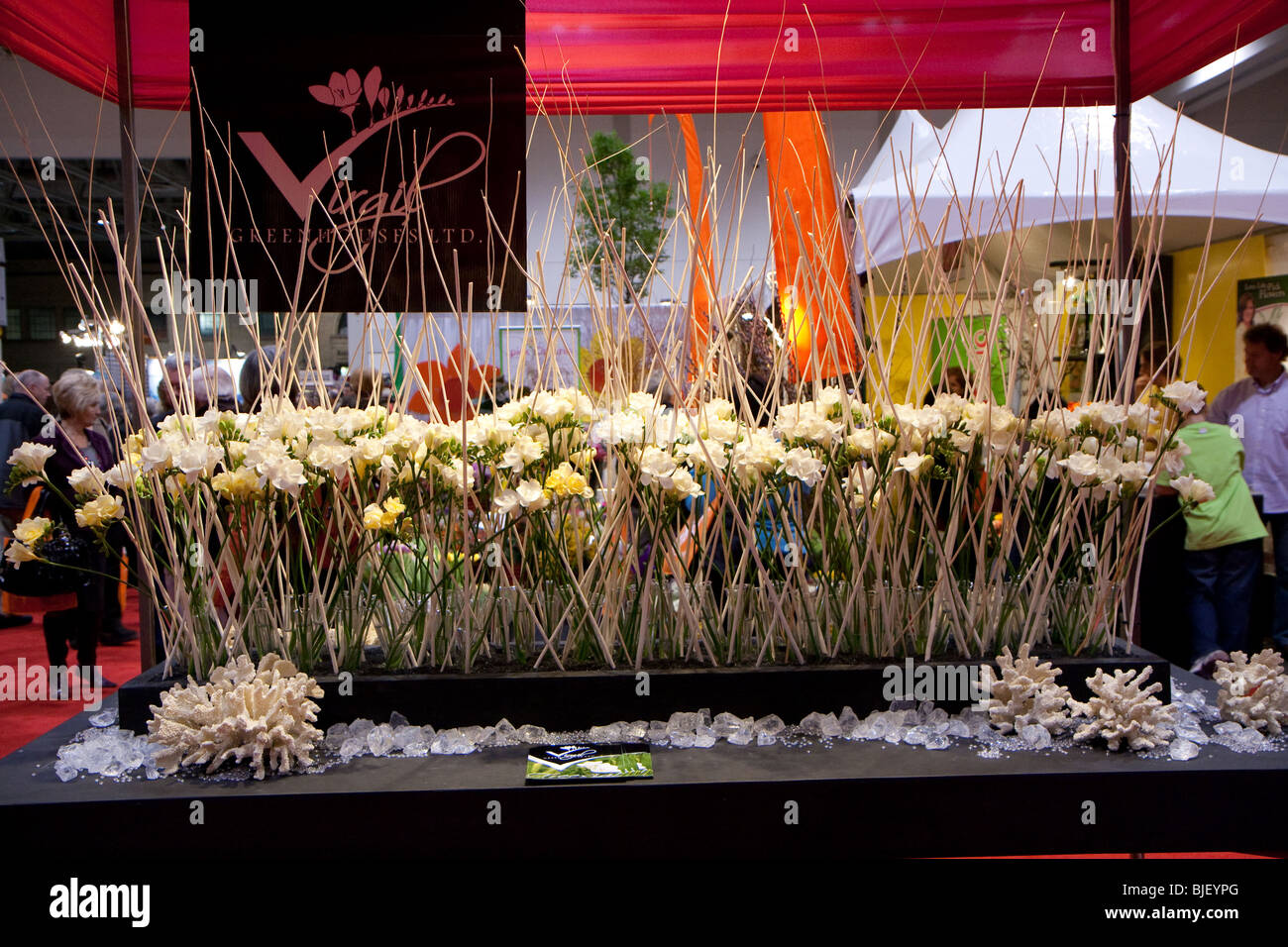 Arrangement floral blanc table vue côté vitrine d'affichage Banque D'Images