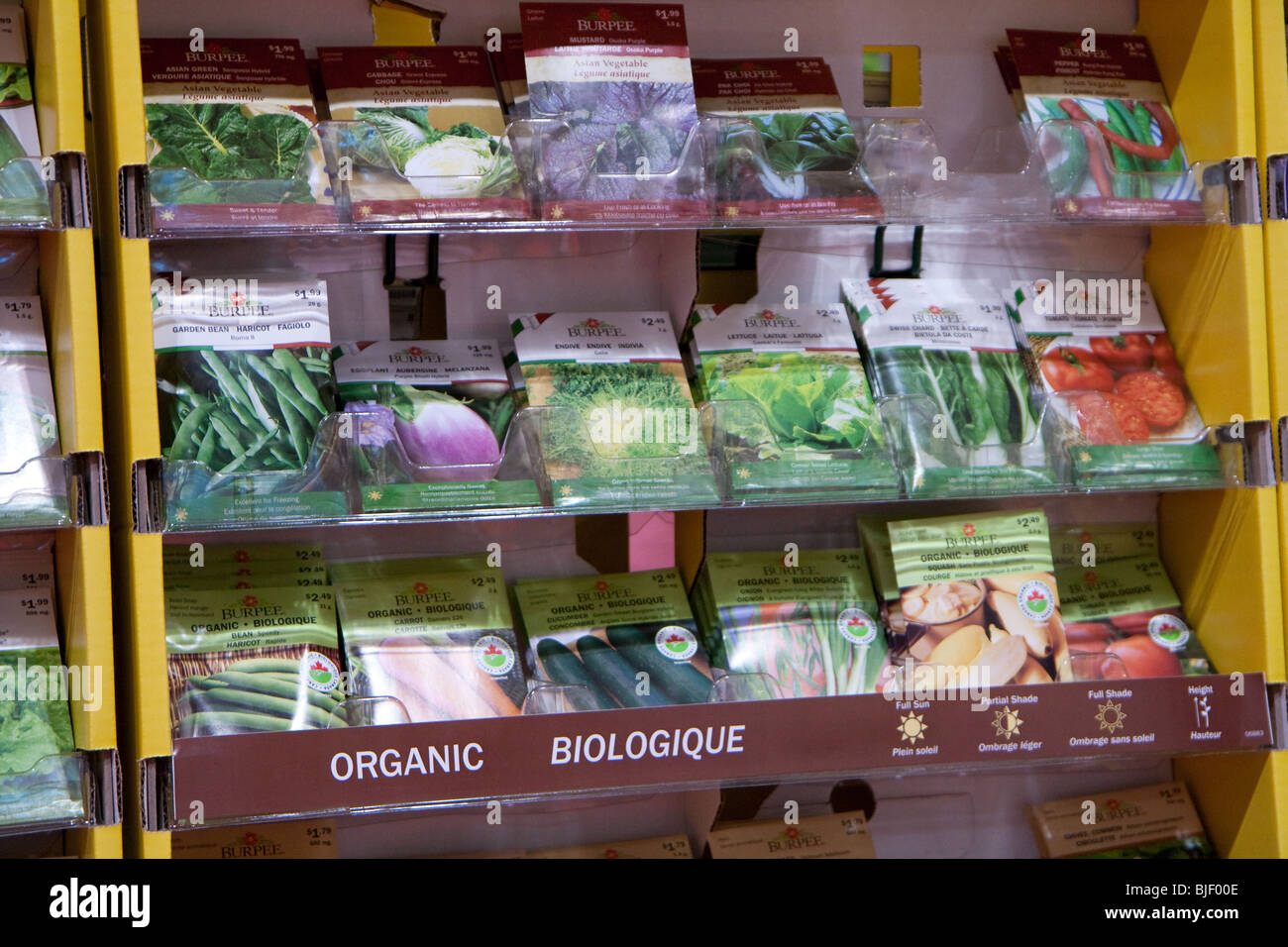 Canada événement bloom jardin de fleurs graines plantation tomate aubergine afficher la durée de vente du printemps Banque D'Images